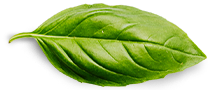 Aceite de Oliva Virgen Extra – Esencia Mediterránea en tu Mesa - Image 3